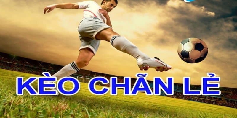 Khái niệm kèo chẵn lẽ là gì Khái niệm kèo chẵn lẽ là gì