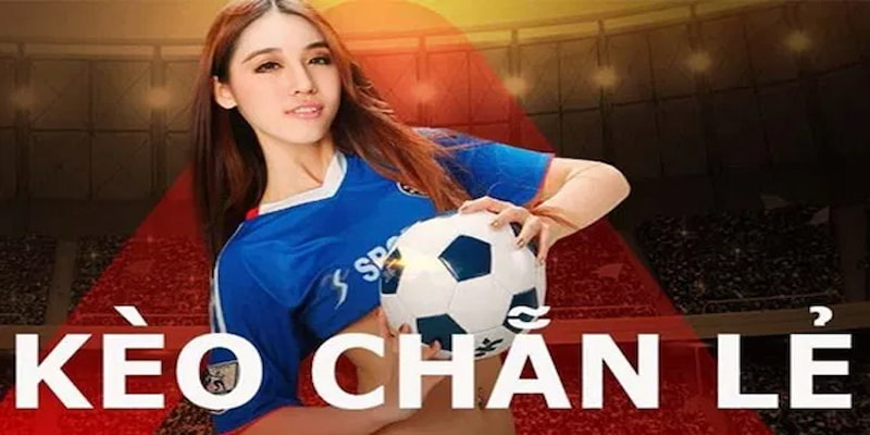Một số mẹo cược hay Một số mẹo cược hay