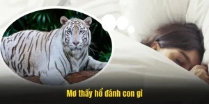 mơ thấy hổ đánh con gì